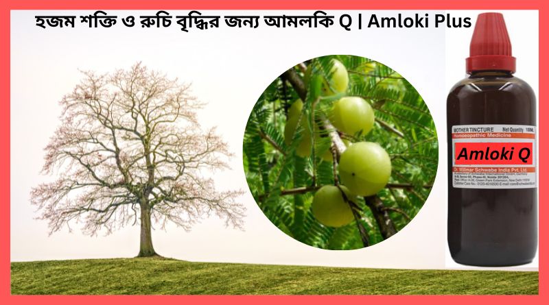 হজম শক্তি ও রুচি বৃদ্ধির জন্য আমলকি Q Amloki Plus