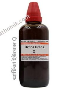 এলার্জি চুলকানির জন্য আর্টিকা ইউরেন্স Q (Urtica Urens Q / Mother Tincture )